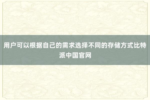 用户可以根据自己的需求选择不同的存储方式比特派中国官网