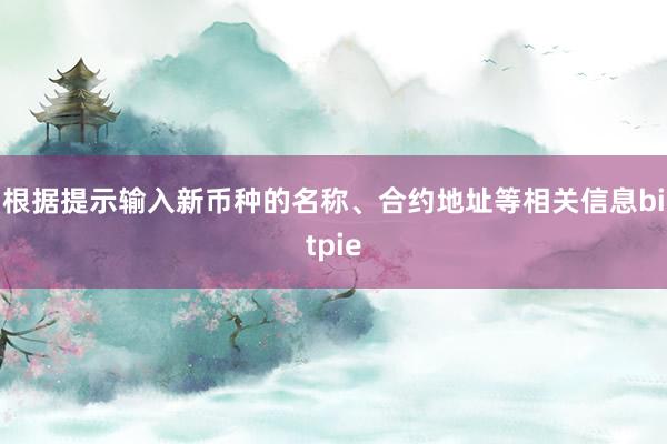 根据提示输入新币种的名称、合约地址等相关信息bitpie