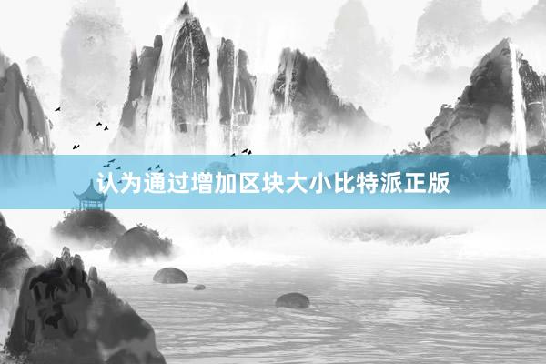 认为通过增加区块大小比特派正版