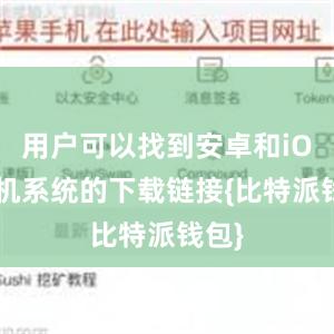 用户可以找到安卓和iOS手机系统的下载链接{比特派钱包}