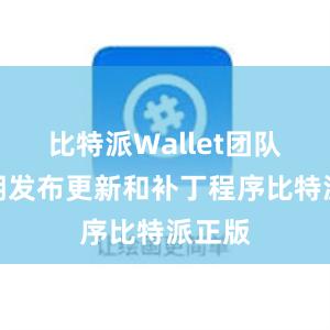 比特派Wallet团队会定期发布更新和补丁程序比特派正版