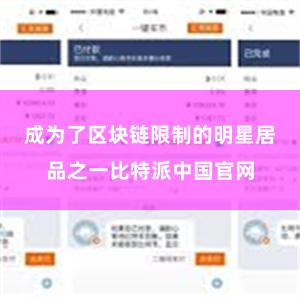 成为了区块链限制的明星居品之一比特派中国官网